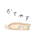 良くも悪くも猫（個別スタンプ：12）