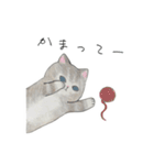 良くも悪くも猫（個別スタンプ：16）