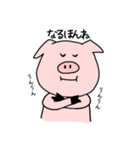 ありきたりな豚。（個別スタンプ：17）