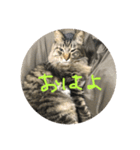 るるるるるぅーるる（個別スタンプ：2）