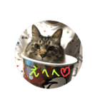 るるるるるぅーるる（個別スタンプ：5）