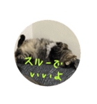 るるるるるぅーるる（個別スタンプ：7）