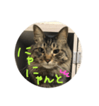 るるるるるぅーるる（個別スタンプ：10）