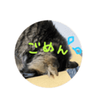 るるるるるぅーるる（個別スタンプ：15）