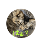 るるるるるぅーるる（個別スタンプ：16）