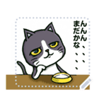 いろんなねこスタンプ メッセージスタンプ（個別スタンプ：7）