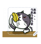 いろんなねこスタンプ メッセージスタンプ（個別スタンプ：8）