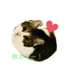 おてんば猫、とまとのスタンプ♡（個別スタンプ：16）