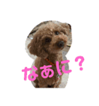 プーちゃんといっしよ（個別スタンプ：3）