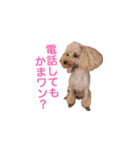 犬の名前はミルク（個別スタンプ：1）