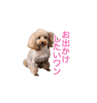 犬の名前はミルク（個別スタンプ：2）