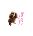 犬の名前はミルク（個別スタンプ：20）