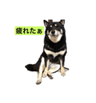 あずの気持ち（個別スタンプ：5）