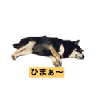 あずの気持ち（個別スタンプ：7）