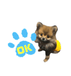 サムくんの日常（個別スタンプ：10）