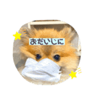 サムくんの日常（個別スタンプ：17）