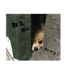 サムくんの日常（個別スタンプ：19）