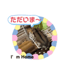 はむすきー（個別スタンプ：5）