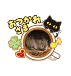 はむすきー（個別スタンプ：11）