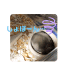 はむすきー（個別スタンプ：15）