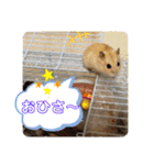 はむすきー（個別スタンプ：22）