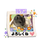 はむすきー（個別スタンプ：29）