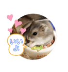 はむすきー（個別スタンプ：33）