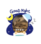 はむすきー（個別スタンプ：35）