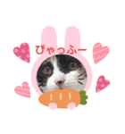 白ねこのみるくとここあ（個別スタンプ：5）