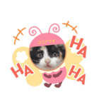 白ねこのみるくとここあ（個別スタンプ：6）