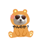 白ねこのみるくとここあ（個別スタンプ：7）