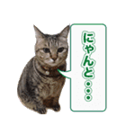 にゃにゃステッカー（個別スタンプ：2）