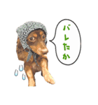 チップと小梅2（個別スタンプ：9）