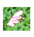 日常のあいさつとか（個別スタンプ：3）