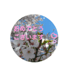 日常のあいさつとか（個別スタンプ：13）