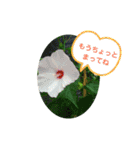 日常のあいさつとか（個別スタンプ：14）