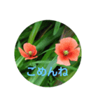 日常のあいさつとか（個別スタンプ：15）