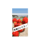日常のあいさつとか（個別スタンプ：16）