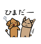 こた先生とおいたろうの新たな出会い（個別スタンプ：28）