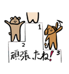 こた先生とおいたろうの新たな出会い（個別スタンプ：40）
