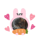 かわいい猫のプッチとみかん5（個別スタンプ：4）