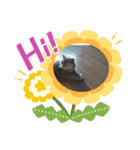 かわいい猫のプッチとみかん5（個別スタンプ：5）