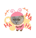 かわいい猫のプッチとみかん5（個別スタンプ：15）