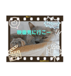 かわいい猫のプッチとみかん5（個別スタンプ：21）