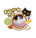 かわいい猫のプッチとみかん5（個別スタンプ：22）