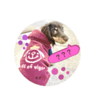 こむぎのむぎちゃん（個別スタンプ：20）