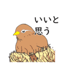 外来種ガビチョウpart2（個別スタンプ：1）