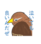 外来種ガビチョウpart2（個別スタンプ：6）