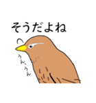外来種ガビチョウpart2（個別スタンプ：7）