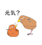 外来種ガビチョウpart2（個別スタンプ：8）
